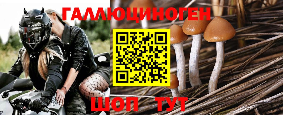 Псилоцибиновые грибы Cubensis Выкса