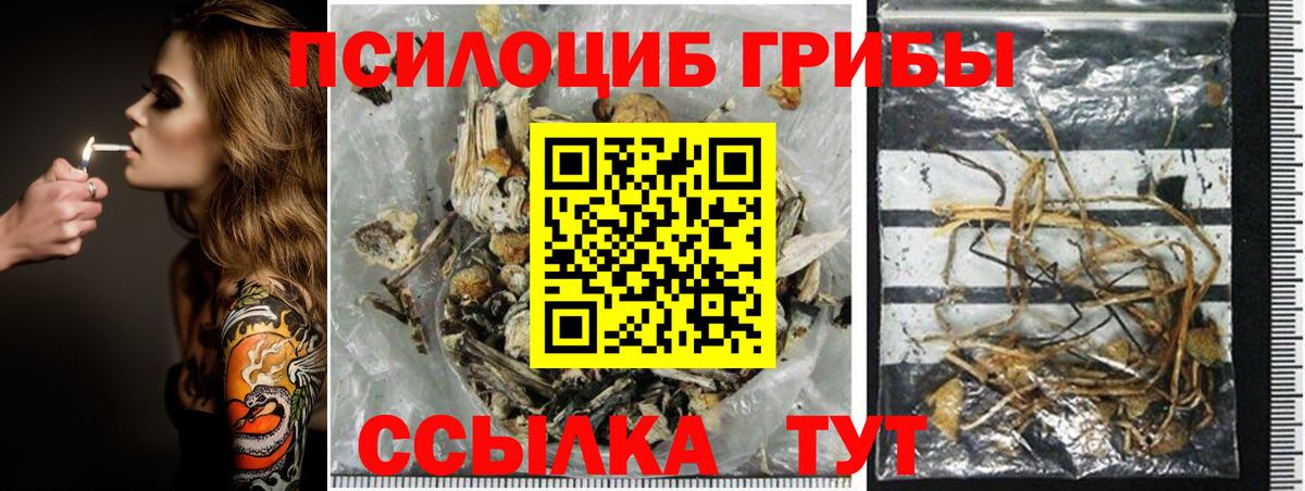 Галлюциногенные грибы прущие грибы  наркотики  Выкса  Вход с VPN  Псилоцибиновые грибы ЛСД 